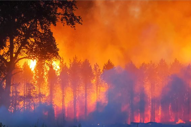 Egy ember meghalt a Soltszentimre közelében pusztító tűzben